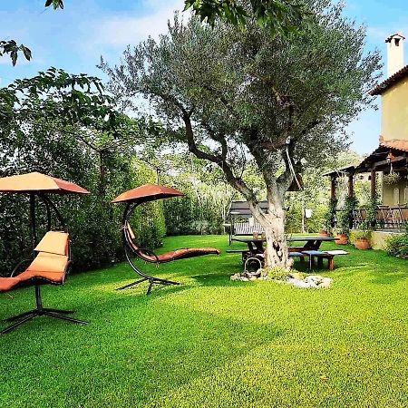ניקיטי Vintage Home מראה חיצוני תמונה