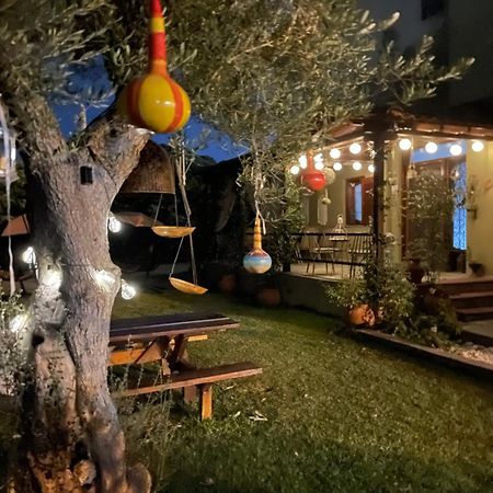 ניקיטי Vintage Home מראה חיצוני תמונה