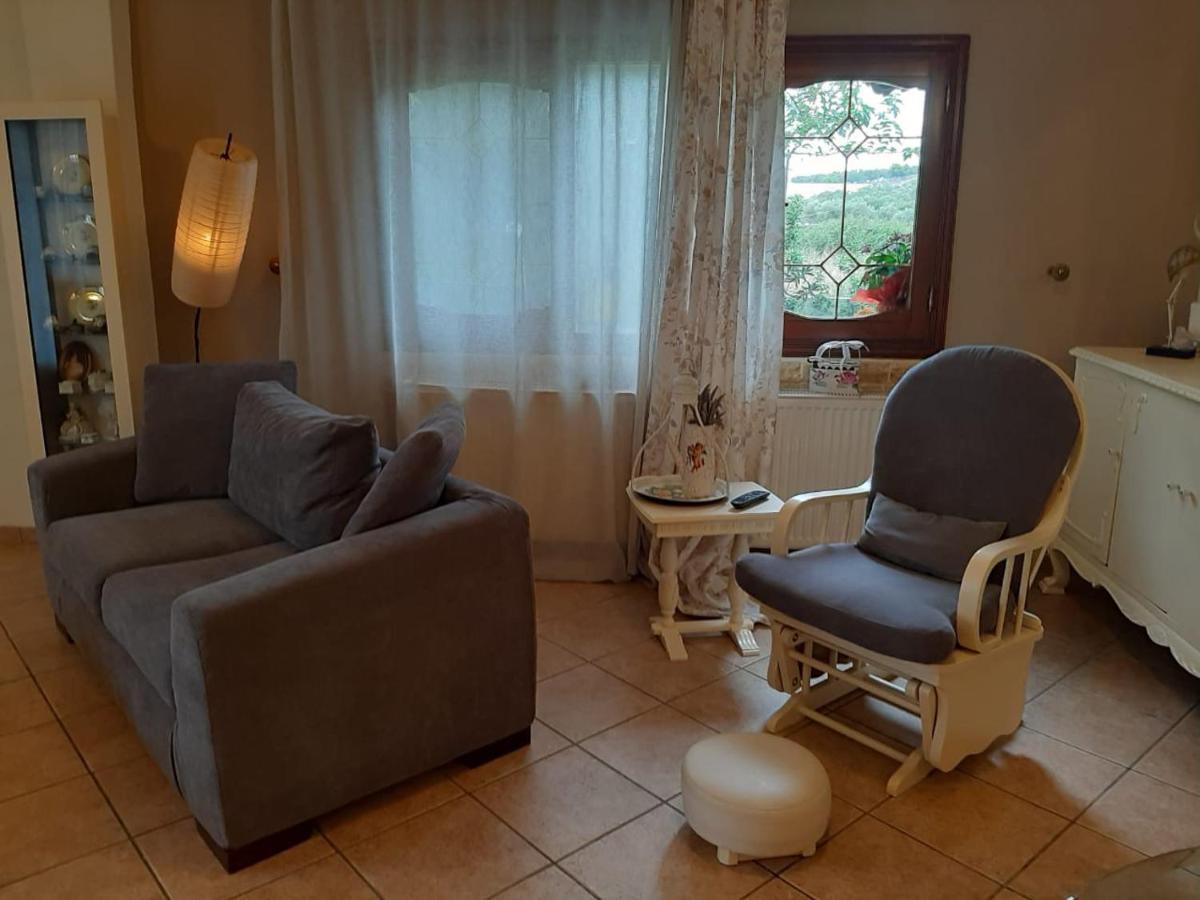 ניקיטי Vintage Home מראה חיצוני תמונה