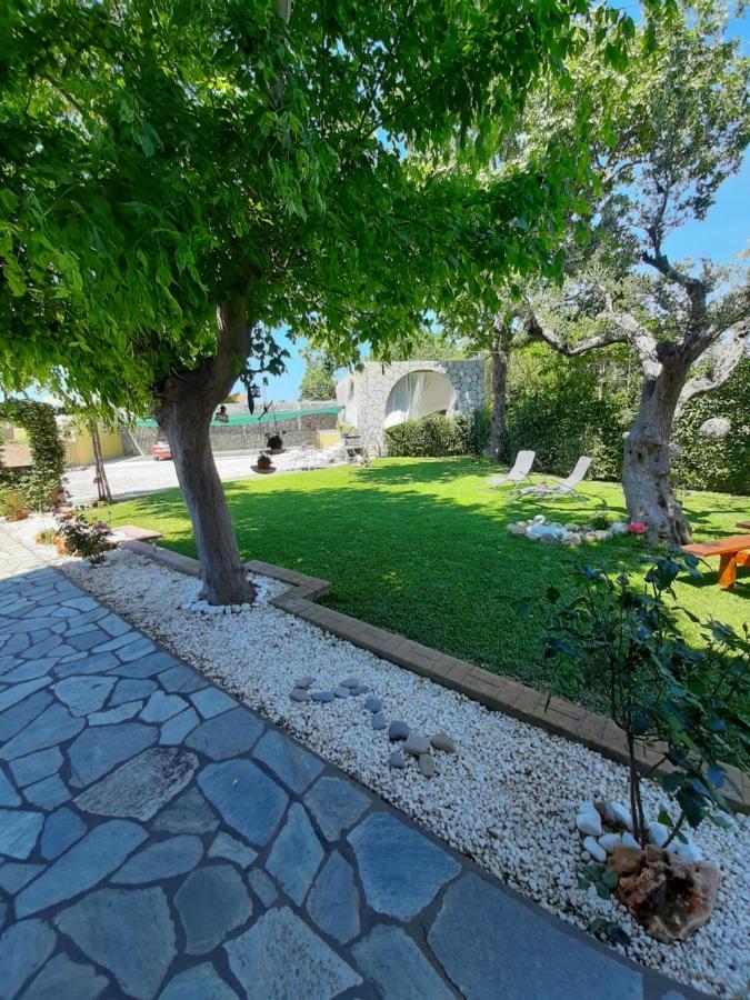 ניקיטי Vintage Home מראה חיצוני תמונה