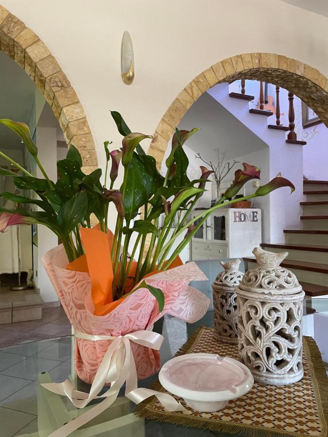 ניקיטי Vintage Home מראה חיצוני תמונה