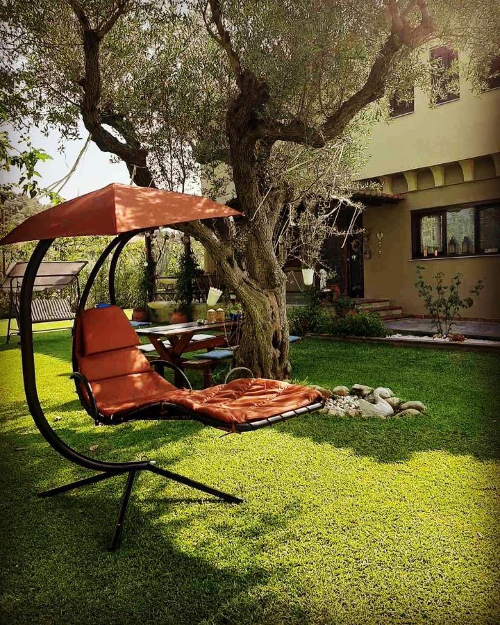 ניקיטי Vintage Home מראה חיצוני תמונה