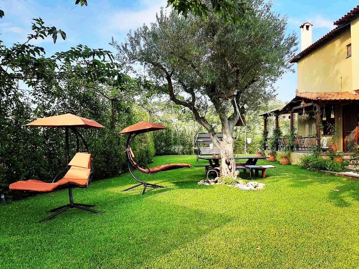 ניקיטי Vintage Home מראה חיצוני תמונה