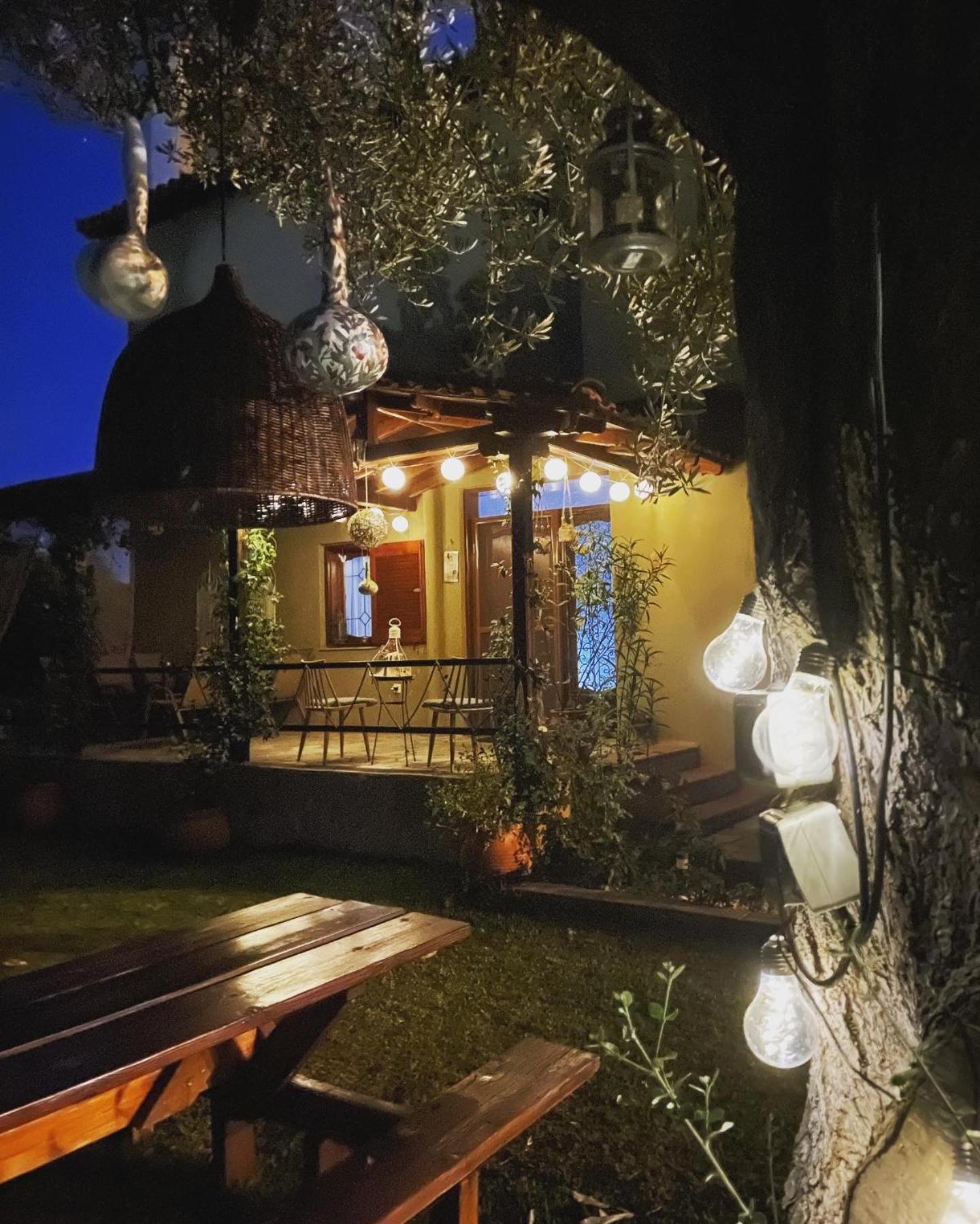 ניקיטי Vintage Home מראה חיצוני תמונה